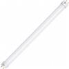 MARVIX Tubo LED T5, 300 mm, 12 V, 24 V, SMD, a risparmio energetico, ricambio per luce fluorescente montata su camper, roulotte o barca