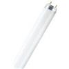 Sylvania Neon T8 Grolux 18 W/60 cm (unità)