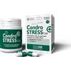 INNOVET ITALIA S.R.L. Condrostress+ cat 30 capsule - nuova formula