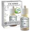 Dr Giorgini Polvere Riparatrice Cicatriz - 10 g
