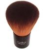 LyDia Lowestbest - Pennello professionale da trucco con astuccio richiudibile, colore nero