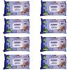 Generico Salviette Senior Igiene Adulti Maxi 20x28 cm, 400 pz (8 confezioni da 50 salviette) Aloe Vera, Glicerina e Vitamina E, Senza Alcool, pH Fisiologico