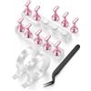 Xanthelle Set di Stand per Unghie, Supporto in Acrilico per Pratica & Esposizione Nail Art, Kit Completo di Accessori per Unghie con Pinzetta & Nastro, Supporto per Unghie Finte & Press On