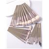 Generic Set di 30 pennelli professionali per cipria, correttori, ombretti, fard, eyeliner, sopracciglia, contorno occhi, sfumatura (champagne)