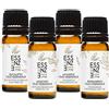 Essenze.me Puro, Elegante Benessere ESSENZE KIT SET 4 OLI ESSENZIALI Puri al 100% Naturali 10ml Olio Essenziale Lavanda, Rosmarino, Muschio, Eucalipto. Per Diffusori Ambiente Aromaterapia. Controllati e Confezionati in ITALIA.