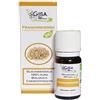 Gisa Wellness - FRANCHINCENSO - Olio Essenziale Bio - 100% Puro e Naturale - [5ml] - Alimentare - Aromaterapia - Cura della Persona - Benessere - Made in Italy