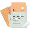 SKIN CHOICE Microdart Patch Brufoli con Acido Salicidico, Olio dell'Albero del Tè, CICA - Breakout Pimple Patch Classic Darts - Idrocolloidali Cerotti Brufoli, Vegano, Non Testato Sugli Animali, 8pcs