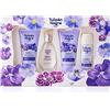 TULIPAN NEGRO Tulipano nero - Sweet Viola, confezione regalo Unisex, Colonia 50 ml + lozione per il corpo 75 ml + gel da bagno 75 ml + deodorante spray 50 ml, fragranza dolce e floreale a lunga durata
