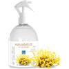 bleu & marine Bretania - Idrolato di Amamelide Hamamelis | Tonico Acqua Floreale Distillata | Detergente Tutto Naturale | Rigenera e Lenisce l'Epidermide | Regola la Pelle Grassa, 500 ml Spray