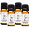 Essenze.me Puro, Elegante Benessere ESSENZE KIT SET 4 OLI ESSENZIALI Puri al 100% Naturali 10ml Olio Essenziale Menta Piperita, Tea Tree, Limone, Arancia Dolce. Per Diffusori Ambiente Aromaterapia. Controllati e Confezionati in ITALIA.