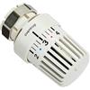 Oventrop Termostato Uni LV 7-28 GrC m sonda liquida bianco