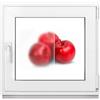 Framex Finestra per bagno bianco doppio vetro smerigliato, 60 x 55 cm, DIN destra, finestra in plastica PVC satinato, 600 x 550 mm, inclinazione girevole 32 mm (maniglia sinistra)