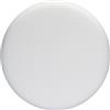 Bosch Accessories BOSCH, 2608612024, Schiuma 170 millimetri disco, 1 pz.