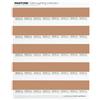 Pantone LNDS-1PK-D50 Lighting Indicator Adesivi D50
