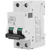 Risegun Interruttore automatico CC, interruttore automatico miniaturizzato CC 2P 250V a bassa tensione per sistema a griglia di pannelli solari(25A)