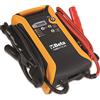 Beta Avviatore Portatile Ultraleggero 12-24 V ad Alte Prestazioni per Auto, Veicoli Commerciali e Truck - 10.000A, Protezione Totale - 014980014