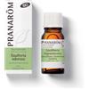 Pranarom - Gaulteria odorosa - Bio - 10 ml | Huiles Essentielles