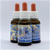 Laboratorio d'Erbe Sauro Olio del Buon Samaritano, Formula Originale di Luz de Maria, Olio di Mandorle Dolci, Olii Essenziali di Cannella, Garofano, Limone, Rosmarino ed Eucalipto, 20 ml, Prodotto 100% Naturale (3 x 20 ml)