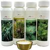 Well2wellness® - Set per sauna 4 x 125 ml 'Klassik 1' con eucalipto, pino, menta, aghi di abete + gratis 10 g di cristalli al mentolo