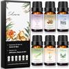 WILLOWYBE Solvana Set di oli essenziali, 6 x 10 ml, oli solubili in acqua per diffusore, umidificatore e fai da te - Oli essenziali profumati naturali per la casa, spa e sauna - Confezione regalo