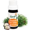 Bergila olio essenziale PINO CEMBRO BIO, 30 ml - 100% naturale di materia prima biologica - qualità controllata e certificata