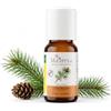 Maitreya Natura Olio essenziale di Pino Cembro BIO, olio essenziale di Pinus cembra dell'Alto Adige, per aromaterapia, profumazione degli ambienti e saune, 10 ml