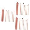 FRCOLOR 21 Pezzi 1 Set Set di cucchiai per le orecchie plettri per le orecchie per la casa kit Earpick pulisci orecchio pulisce orecchie oggetti di scena per la raccolta del cerume Golden