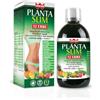 GDP Srl-GENERAL DIETET.PHARMA PLANTA SLIM 12ERBE 500ML WNT