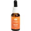 Australian Bush Flower Essences NOVITÀ Boost Essence Australian Bush Flower Essences Fioro australiani