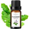 Comptoir Des Epices Madagascar PATCHOULI | Olio essenziale di PATCHOULI Bio (100 ML) 100% puro e naturale | Chemotypee e certificato (AB) Bio ECOCERT-FR-01 | (Impresa francese)