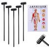 MIJIE 7 stelle N_eedle Agopuntura, 7 stelle N_eedle & Plum Blossom Dermal Hammer Larghezza un grafico -Agopuntura Grafici del corpo umano Meridiani e punti di agopuntura (5PCS Larghezza un grafico agopunto)