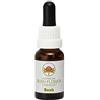 Australian Bush Flower Essences Boab 15ml stock Australian Bush Flower Essences
