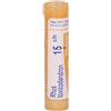 Boiron Rhus Toxicodendron 15Ch Tubo 80 Granuli 4g.