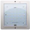 TOTMOX 12V LED Plafoniera per RV, Caravana, Camper, Roulotte, Barca, Luci da Tetto, Lampada Bianco Caldo