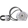 SKF VKMC 02206 Kit Tendicinghia con Pompa Acqua | Compatibile con: FIAT 500, DOBLO Großraumlimousine, DOBLO Kasten/Großraumlimousine, GRANDE PUNTO, IDEA, LINEA, PANDA