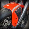 labelbike Adesivi 3D Moto Parasteli compatibile con DUCATI | Monster V2 2026, Protezione in Resina, Antigraffio, Decorazione, Grigio, Made in Italy