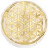 NKlaus Piastra di ricarica in selenite rotonda 8 cm con fiore dorato della | Con incisione per la ricarica delle pietre preziose, il lavoro dei chakra e la meditazione