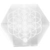 NKlaus Piastra in selenite con incisione chakra, esagonale, 10 x 9 cm | Piastra purificante energetica con fiore della vita per l'energia cristallina e la meditazione, come pietra per altare