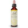 Flores De Bach Originales Scleranthus Fiori di Bach 20 ml di fiori di Bach originali