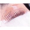 YSEN'S Pad per Laminazione Ciglia, 8 Bigodini Scanalati Autoadesivi Senza Colla sulla Palpebra, Più Spessi, in Silicone Gel, Lash Lift Professionale S M L XL