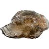 Generico Pietra grezza minerale naturale per cristalloterapia meditazione cristalli (quarzo fumè - affumicato 3-5 CM)