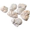 Generico ALCHIMIA - Pietra grezza naturale cristalloterapia Magnesite cm.1,5-2