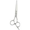 Generic Forbici professionali per tagliare i capelli, forbici affilate in acciaio inox per parrucchieri e uso domestico, forbici per sfoltire barbieri, per uomini e donne (argento) (tosatura)