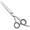 Generic Forbici professionali da parrucchiere da 15,2 cm, in acciaio inox, con lame affilate, per saloni, barbieri, uomini e donne, colore argento