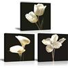 PIY PAINTING Stampe su Canvas Fiore Tulipano Bianco Calla Lily Immagine Quadro su Tela Pittura con Cornice Moderni Murale Fotografia Grafica para Sala Regalo di Anniversario 3X 30x30cm