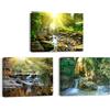 PIY PAINTING Set di 3 Stampe su tela di Foresta, Quadro su Tela Cascate, Dipinto su tela, Quadri Moderni, Arte Murale su Tela per Soggiorno Sala yoga Cucina Ufficio, Telaio Interno in Legno 40x30cm