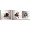 PIY PAINTING Set di 3 Stampa su Tela, Astratto Stampe e Quadri da parete 30x30cm Fotografia su Tela, Moderno Decorazione Murale Quadro per Cucina Corridoio Regali di Natale