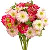 Daily Treasures 30 Fiori Gerbera Artificiali in Seta - 2 Colori Rosa e Rosso, Finti con Stelo Lungo per Matrimoni, Casa e Giardino