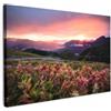 MuchoWow© Stampa su Tela Canvas Quadri per il Soggiorno Quadro Camera da | 120x80 cm - Letto Decorazioni Parete Fiori - Montagna - Paesaggio - Notte - Cielo - Rosa