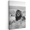 MuchoWow© Stampe su Tela moderne Quadro Moderno Soggiorno Quadretti da | 40x60 cm - Parete Room Decor Leoni - Animali - Savana - Bianco e nero